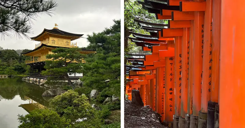 京都千本鸟居旅拍 - 黑料吃瓜
